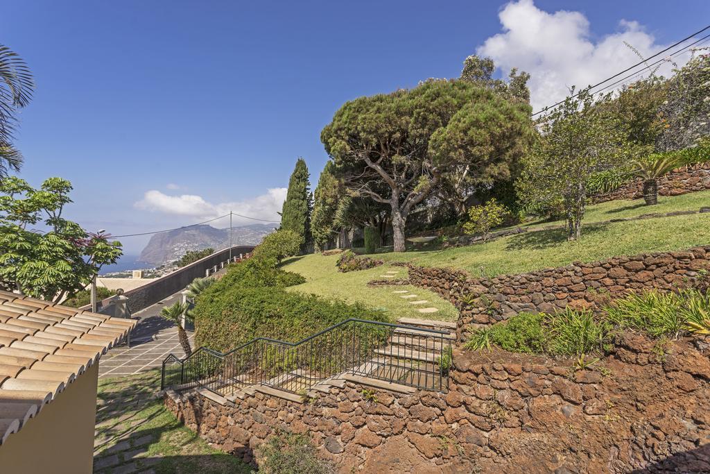 Eucalipto By Travel To Madeira *