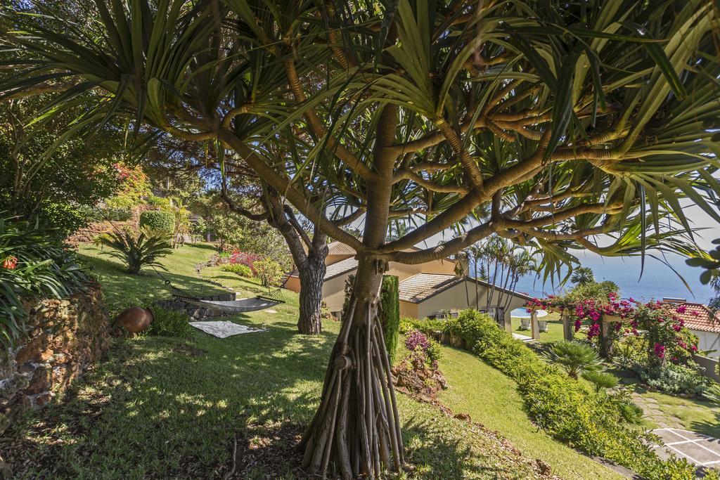 Villa Eucalipto By Travel To Madeira